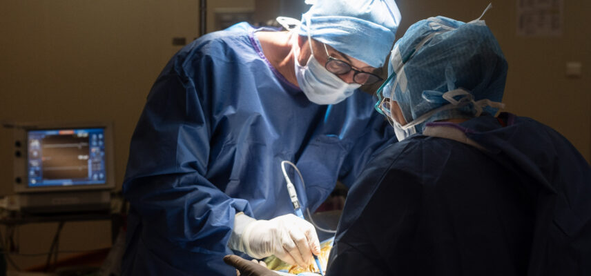 Chirurgie ORL – Quimper