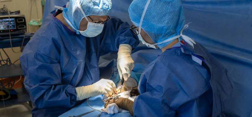 Chirurgie Orthopédique et Traumatologique – Quimper