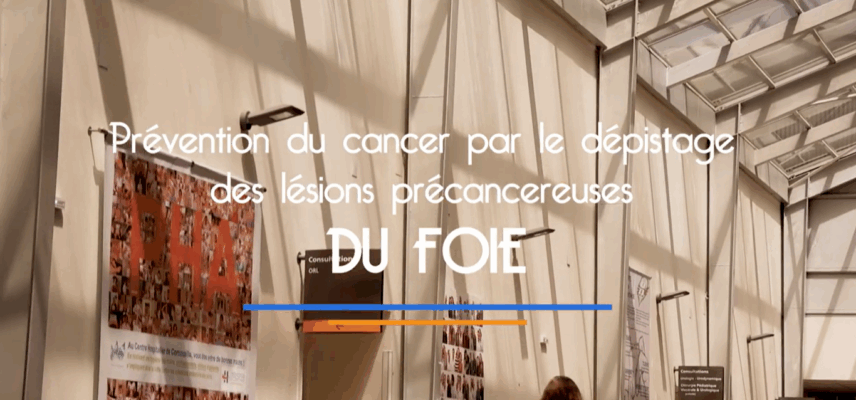 MASH, fibrose, cirrhose : Mieux dépister grâce à l’échographie de nouvelle génération